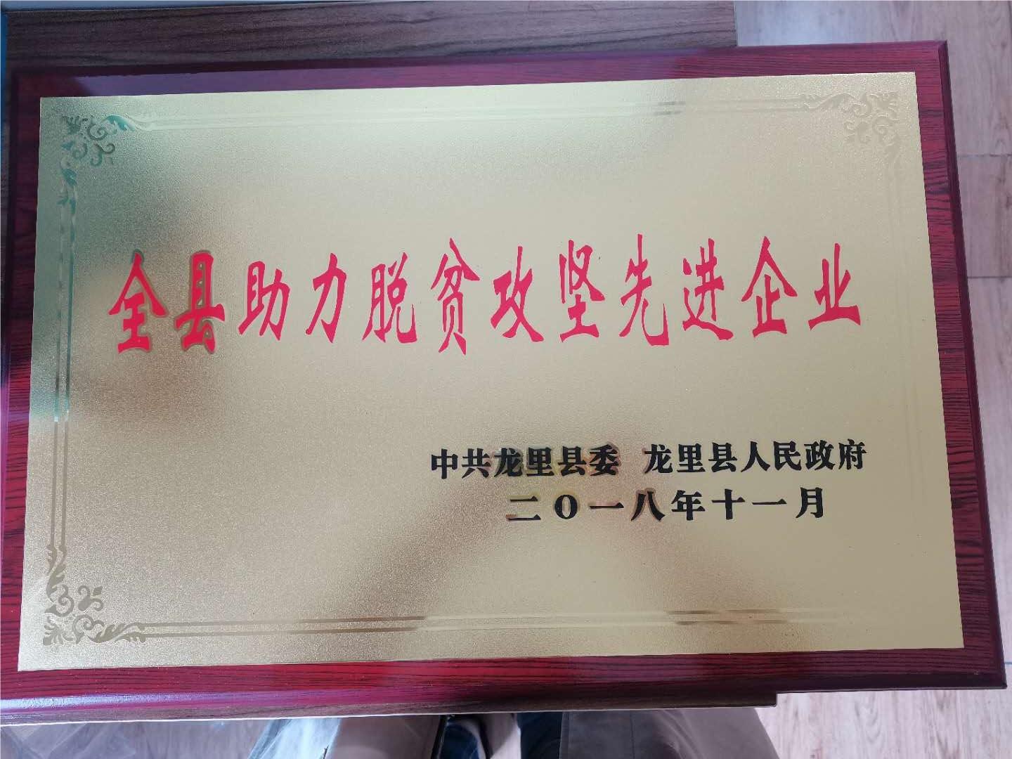 全縣（xiàn）助力（lì）脫貧攻堅先進企業.